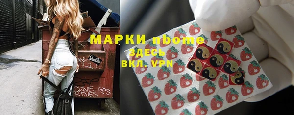 гидра Козловка