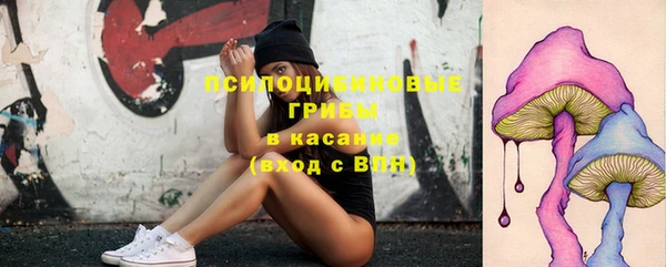 бошки Кодинск
