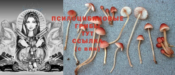 гидропоника Кинешма