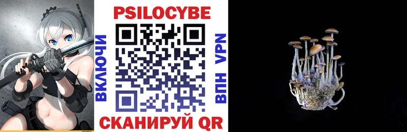 Купить  Валдай  Псилоцибиновые грибы Cubensis 